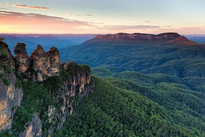 Blue Mountains Day Tour -Scenic World, Koalas & Roos (15 ppl LUX) - Getting out of the city: the early start and the first taste of Blue Mountains