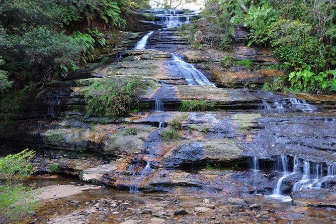 Blue Mountains Day Tour :Wildlife, Waterfall Walk & Three Sisters - Leura Mall break: a real pause, not just a stop