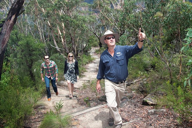 Blue Mountains Day Tour With Bushwalks, Waterfalls & Featherdale - Sydney to the Blue Mountains without the driving stress