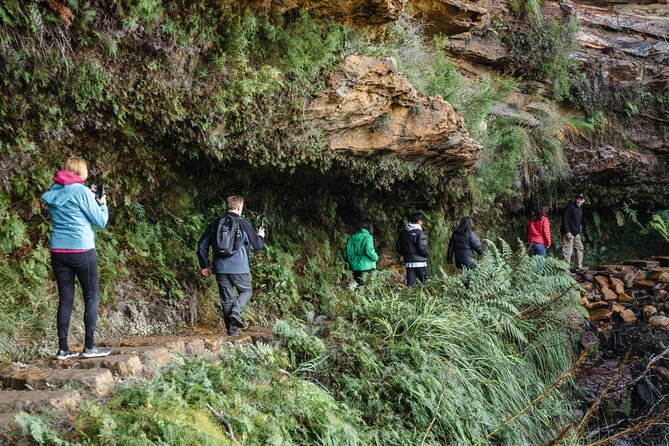 Blue Mountains Day Tour With Bushwalks, Waterfalls & Featherdale - Price and value: what you’re really paying for