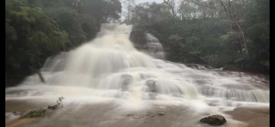 Blue Mountains day tour with Cruise, Scenic world pass & Zoo - Key points before you go
