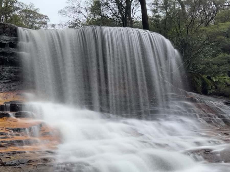 Blue Mountains day tour with Cruise, Scenic world pass & Zoo - A smooth Blue Mountains day built around tickets