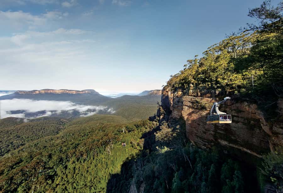 Blue Mountains day tour with Cruise, Scenic world pass & Zoo - Waterfalls and lookout time: easy walking, strong payoff