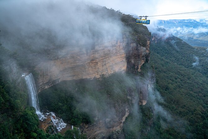Blue Mountains Day Tour with Scenic World and Wildlife Park Entry - Why This Blue Mountains Day Tour Feels Efficient