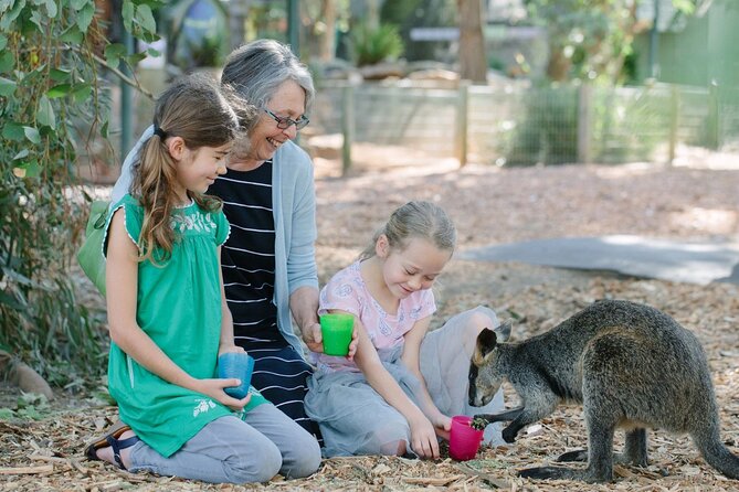 Blue Mountains Day Tour with Scenic World and Wildlife Park Entry - Optional Parramatta River Cruise: A Calmer Return to Sydney