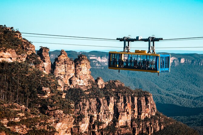 Blue Mountains Day Tour with Wildlife and Scenic World Entry - Why this Blue Mountains day tour hits the sweet spot