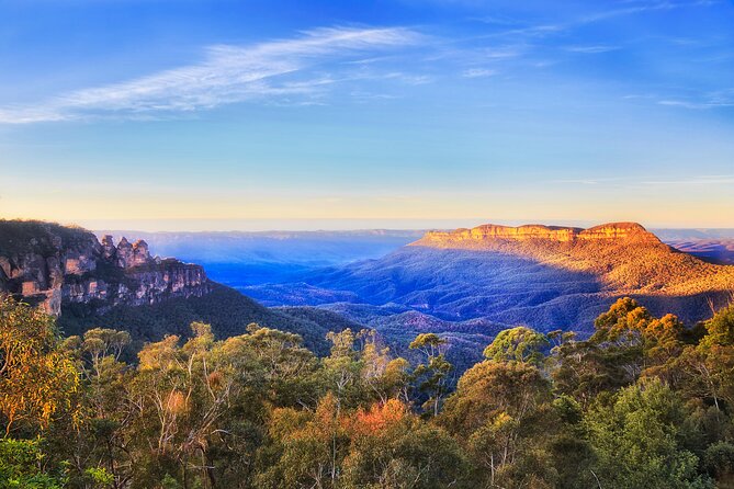 Blue Mountains Day Tour with Wildlife and Scenic World Entry - Scenic World Unlimited Discovery Pass: Skyway, Cableway, rainforest walk, steep railway