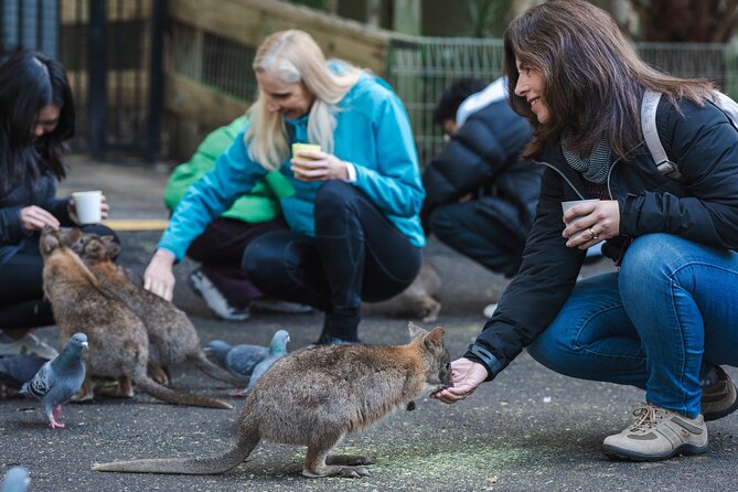Blue Mountains Day Tour with Wildlife, Walks and Scenic World - Price and value: what $181 really covers (and what to budget for)