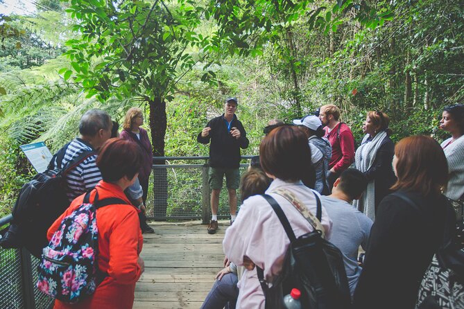 Blue Mountains Day Tour with Wildlife, Walks and Scenic World - Featherdale Wildlife Park: close-up time with kangaroos and koalas