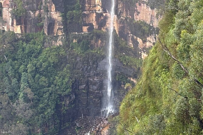 Blue Mountains Day Tours W Scenic World and Lunch - Who Should Book This Blue Mountains Day Tour