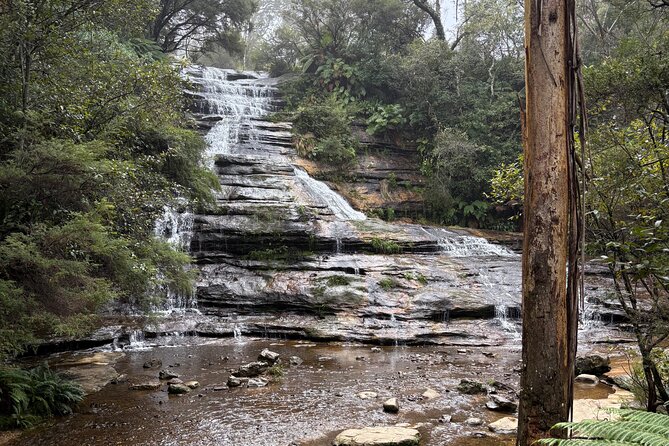 Blue Mountains Day Tours W Scenic World and Lunch - Scenic World: Your Included Pass Does the Heavy Lifting
