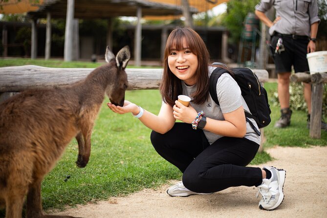 Blue Mountains Express includes Three Sisters Hiking Option - Leura Village Lunch: Real Time to Eat, Browse, and Reset