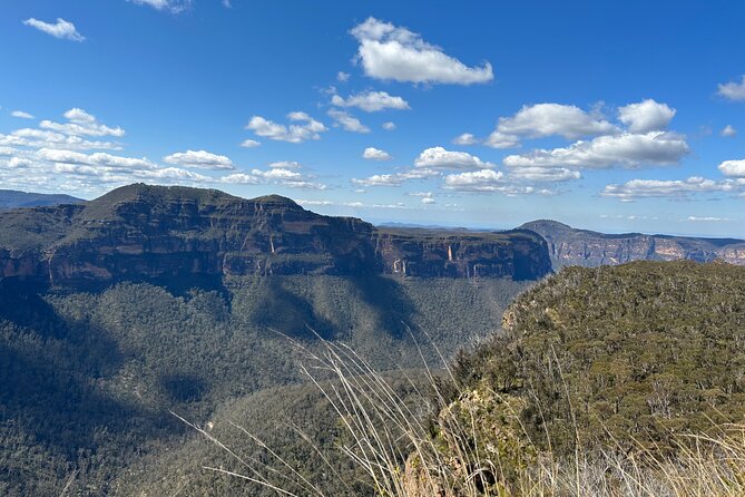 Blue Mountains Full Day Guided Tour - Key highlights worth knowing before you go