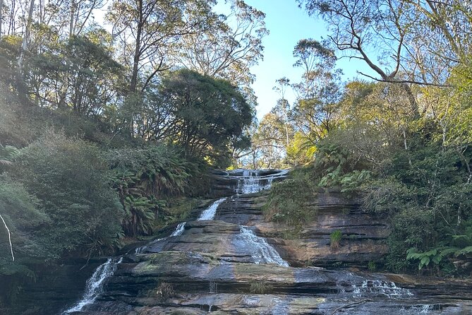 Blue Mountains Full Day Guided Tour - The Blue Mountains route: lookouts, rainforest walks, wildlife, and Three Sisters