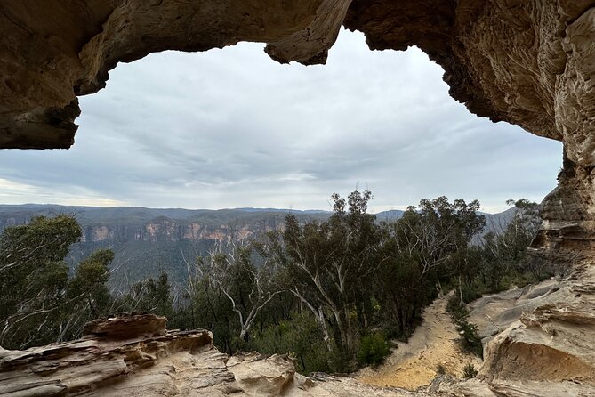 Blue Mountains Full Day Guided Tour - Weather, walking, and realistic expectations