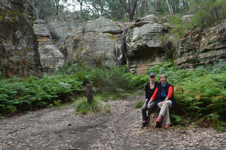 Blue Mountains: Full Day Guided Tour with Lunch - Price and value: is $218 fair for what you get?