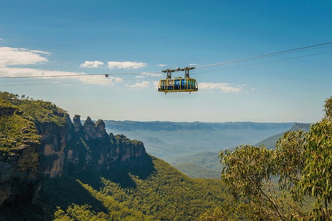 Blue Mountains Highlights, Wildlife Park and Scenic World Full Day Private Tour - Quick hits you’ll feel in your day