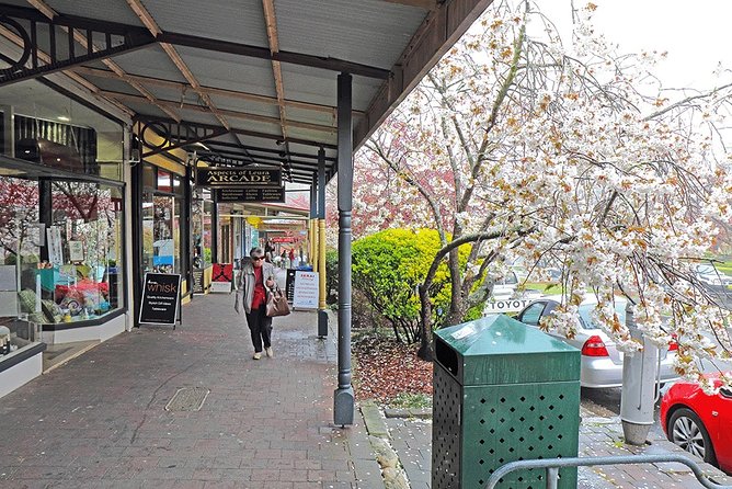 Blue Mountains Highlights, Wildlife Park and Scenic World Full Day Private Tour - Wentworth Falls and Kings Tableland: more than one kind of view
