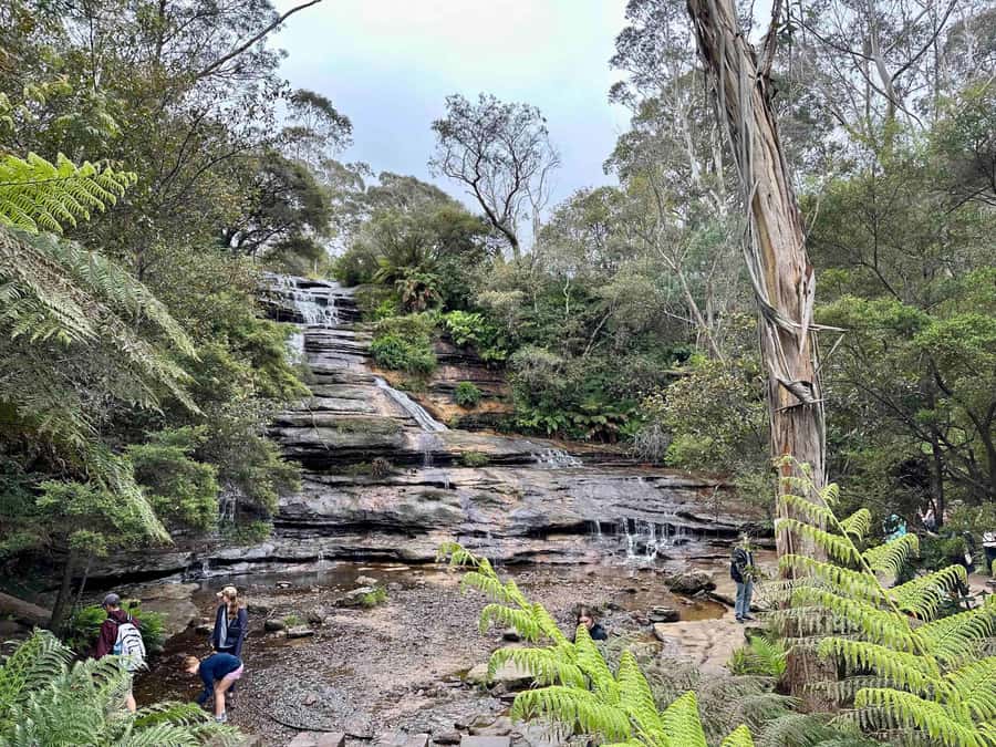 Blue Mountains: Inside a World Heritage National Park - Price and Value: Is $181 Worth It?