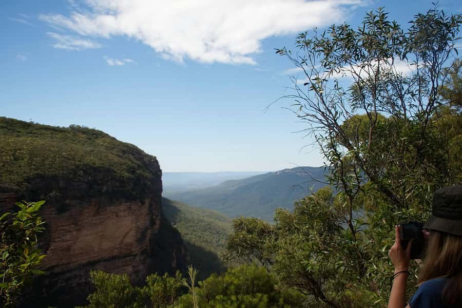 Blue Mountains: Inside a World Heritage National Park - Wentworth Falls to Jamison Valley: Your First Real Walk in the Blue Mountains