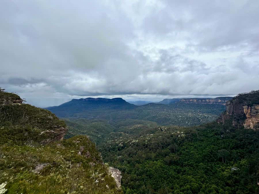 Blue Mountains: Inside a World Heritage National Park - Blackheath Lunch Break: A Mountain Town Reset