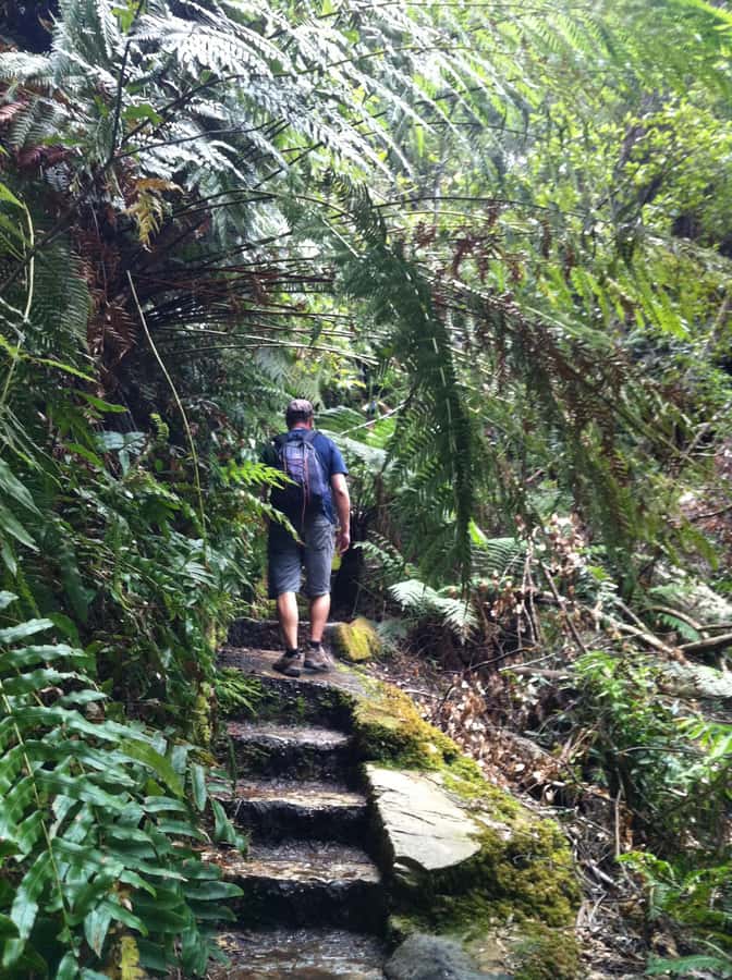 Blue Mountains: Inside a World Heritage National Park - Grose Valley: The Quieter Canyon Feeling