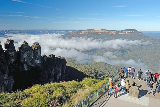 Blue Mountains | Koalas, Kangaroos & Bondi Beach Private Tour - A full-day Blue Mountains + wildlife + Bondi mix, in one smooth run