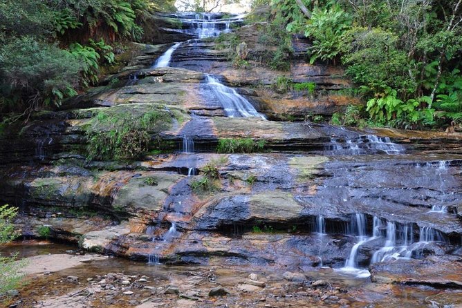 Blue Mountains | Koalas, Kangaroos & Bondi Beach Private Tour - Don-style guiding: friendly, adaptable, and good at time use