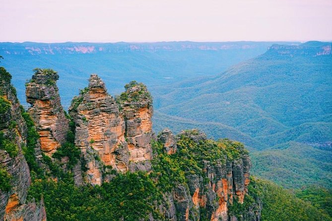 Blue Mountains | Koalas, Kangaroos & Bondi Beach Private Tour - Price and value: what $555.86 per person is really paying for