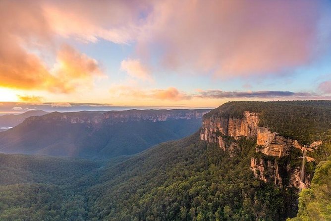 Blue Mountains | Koalas, Kangaroos & Bondi Beach Private Tour - Getting the most out of the day: practical timing and weather reality