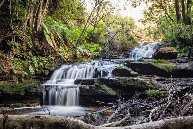 Blue Mountains Luxury Tour from Sydney - From Sydney Without the Fuss: What This Day Trip Really Gives You