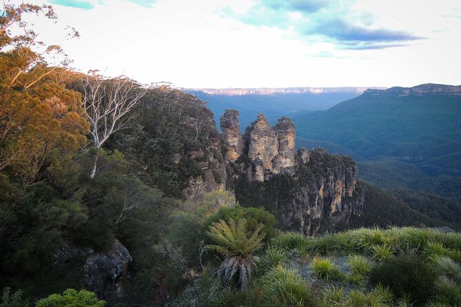Blue Mountains Private Charter - Getting Around in Comfort: What the Private Charter Means for You
