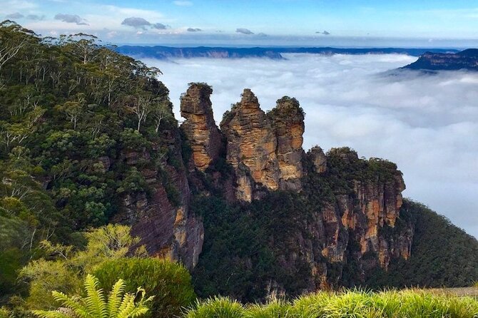 Blue Mountains Private Hiking Tour from Sydney - Evans Lookout: a payoff view right after the climb