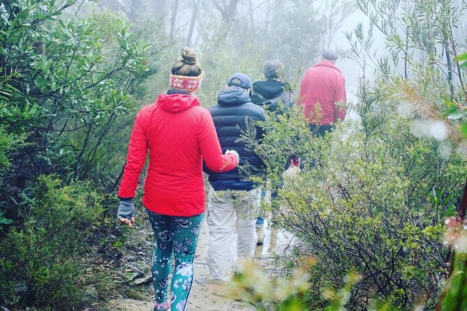 Blue Mountains Private Hiking Tour from Sydney - Megalong Valley: rainforest roads, rural scenery, and wildlife watching
