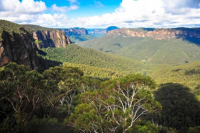 Blue Mountains Private Hiking Tour from Sydney - Price and value: when $1,195.98 per group actually makes sense