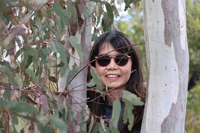 Blue Mountains Private Tour - Leura and bushwalk choices: pick your intensity, not just your route