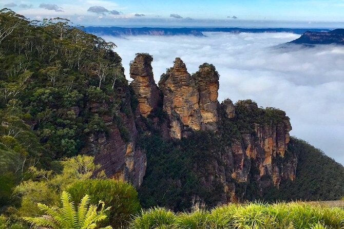 Blue Mountains Private Tour from Sydney - Why This Private Blue Mountains Day Works So Well