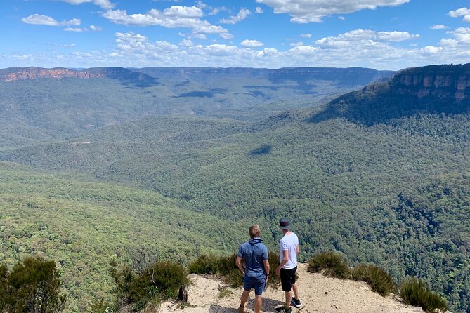 Blue Mountains Private Tour From Sydney, & Featherdale Aussie Animal Park Option - From Sydney Harbour Bridge to the Blue Mountains: the rhythm of the day