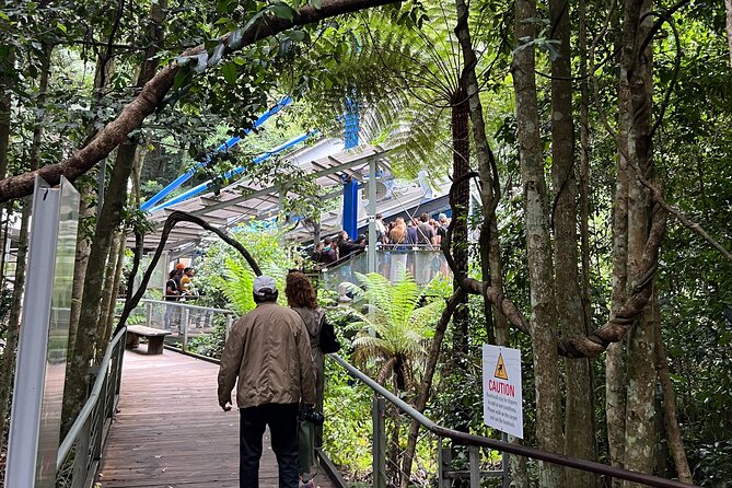 Blue Mountains Private Tour & Hidden Gems, Pick up & Drop off - Katoomba’s Cockatoos and Cascades Walks