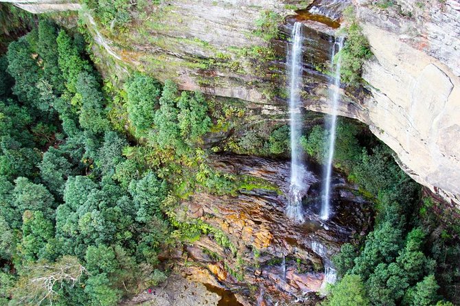 Blue Mountains Private Tour including Wildlife Park - Rainforest Walks, Waterfalls, and Katoomba Falls Short Bushwalk
