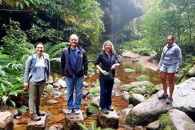 Blue Mountains Private Tour including Wildlife Park - Jamison Valley Lookouts and the Three Sisters Photo Stops