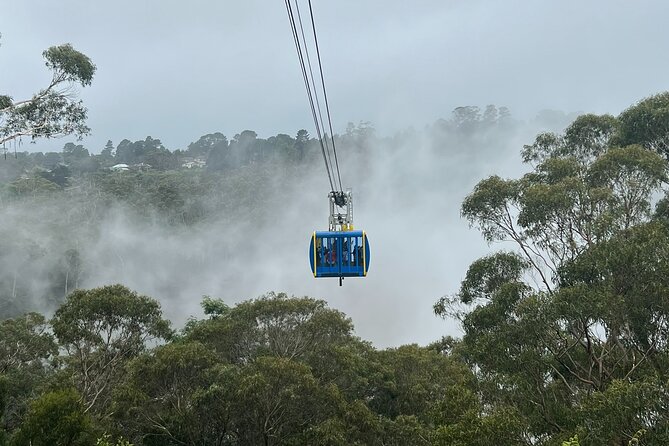 Blue Mountains Private Tour & Scenic World Included - Key highlights you’ll feel immediately