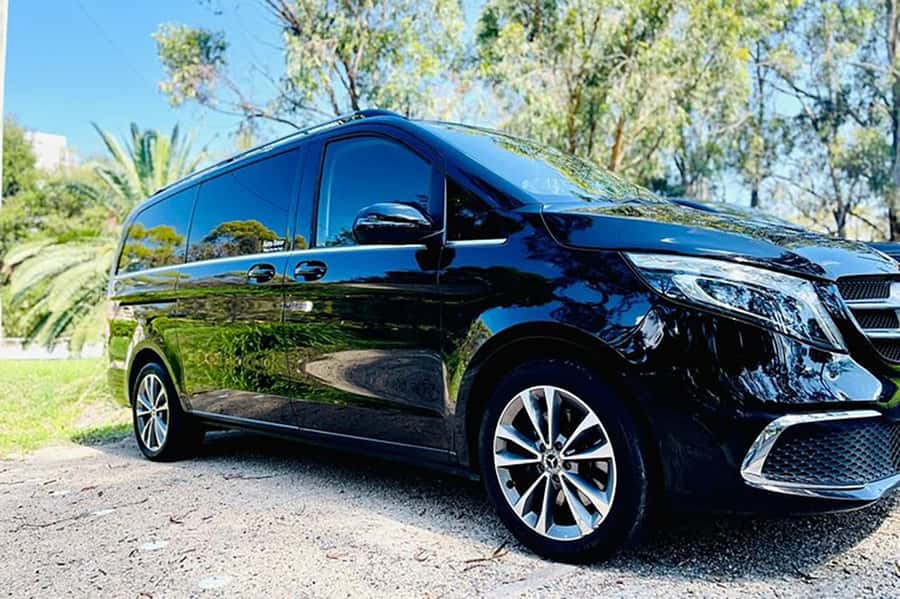 Blue Mountains: Private Tour with Wildlife and River Cruise - A private Blue Mountains day built around real time in the spots