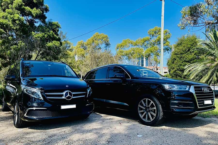 Blue Mountains: Private Tour with Wildlife and River Cruise - Katoomba Falls and Leura: short stops that still feel like a real day