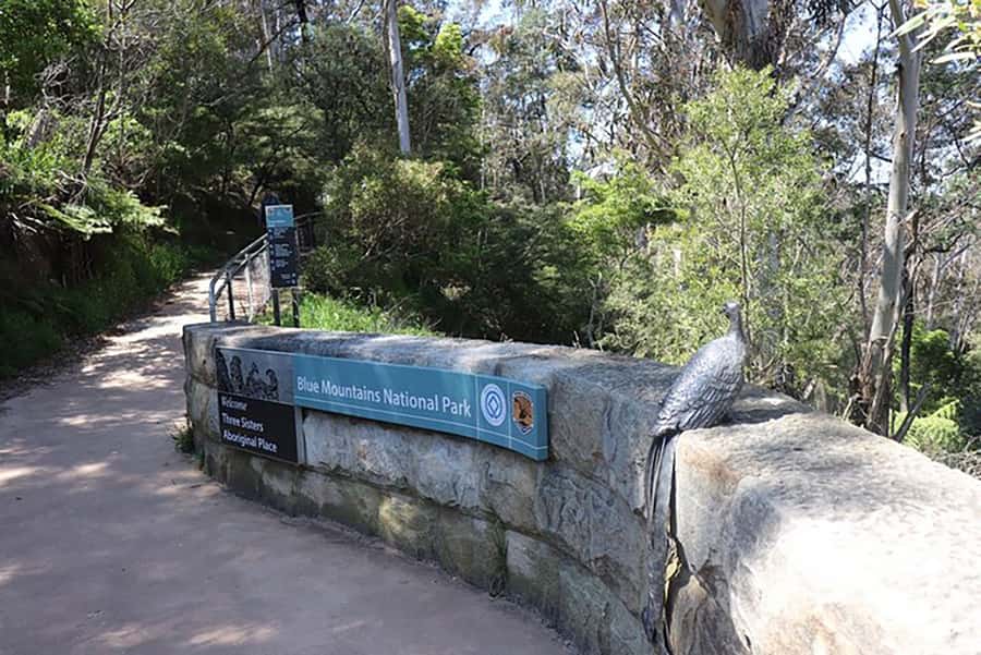 Blue Mountains: Private Tour with Wildlife and River Cruise - The guide and flexibility: why your day may change slightly