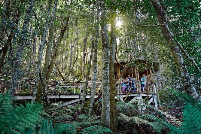Blue Mountains Small-Group Tour from Sydney with Scenic World,Sydney Zoo & Ferry - Scenic World: Skyway, Cableway, Railway, and a Rainforest Walk