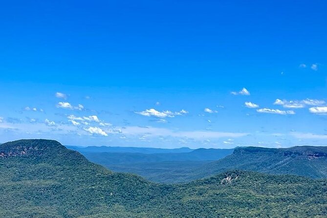 Blue Mountains Small Group Tour w/optional Scenic World & Lunch - Wentworth Falls: waterfall views and the choice between walk and café break