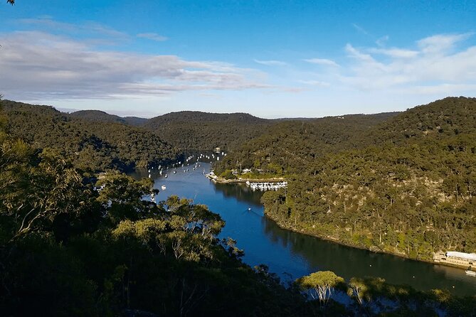 Blue Mountains Small Group Tour with Lunch, Zoo and Scenic World - Lincoln’s Rock and Leura: Quick Photo Opportunity, Then Lunch