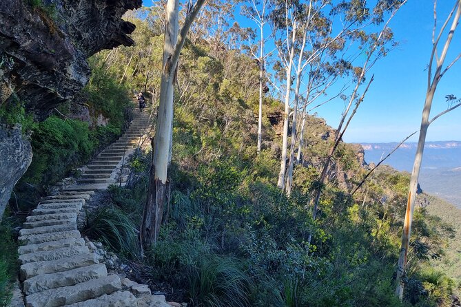 Blue Mountains Small Group Tour with Lunch, Zoo and Scenic World - Scenic World: Railway and Cableway Included