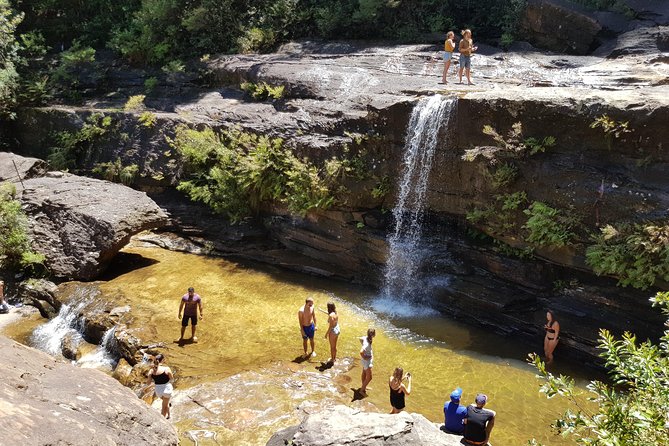 Blue Mountains Small Group Tour with Waterfall Walk & Fresh Lunch - Weather reality: what all-weather operation really means
